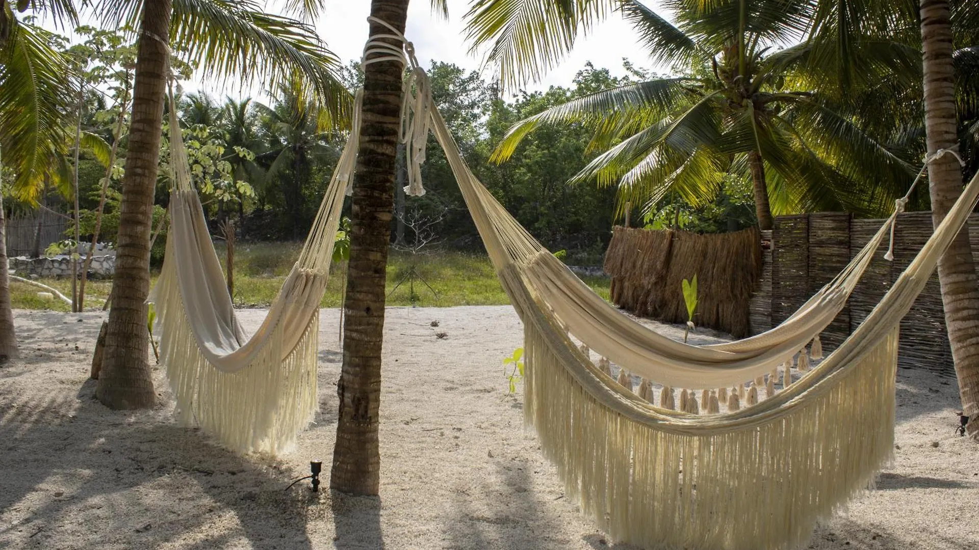 ***** Hotel Zenote Sanctuary (Adults Only) Mexico
